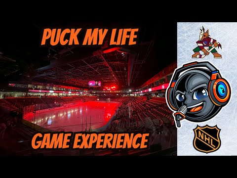 What was it like to watch the Arizona Coyotes at Mullet Arena: NHL Game experience review/rated