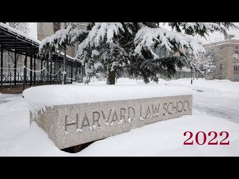 HLS 2022: Year in Photos