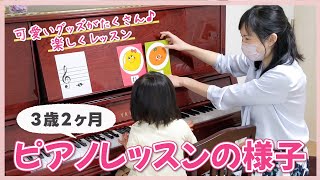 （3歳）ピアノレッスンの様子/プレピアノコースのご紹介♪