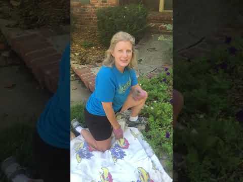 Protect Your Joints While Gardening - Tips from Cindy Johnson, PT and Owner at TherapyWorks