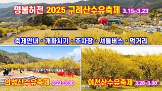 1. 명불허전 구례산수유축제 - 축제기간, 개화시기, 주차장, 셔틀버스, 먹거리 - 2.의성산수유축제 - 3대 산수유축제의 모든 것