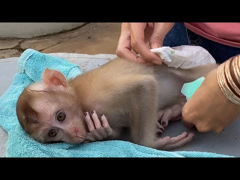 Adorable Baby Boy Sleep For Mom Wear A New Diaper  Look cute