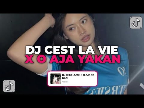 DJ CEST LA VIE X MAKIN BANYAK ORANG MIRING NGURUSIN HIDUP ORANG LAIN | DJ CEST LA VIE X O AJA YAKAN!