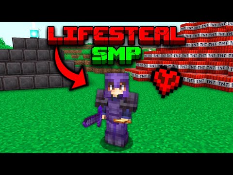 Joining NEW Public Lifesteal SMP!