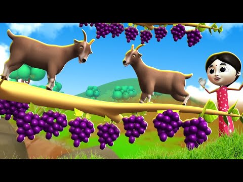 बकरी और अंगूर का पेड़ - Goat 🐐 and Grapes 🍇 Tree | Hindi Kahaniya Comedy Hindi Moral Stories JOJO TV