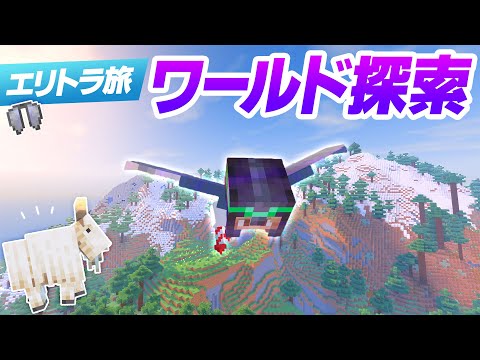 洋館周辺バイオームをエリトラで探索！空の旅で新しい発見！【マイクラ / マインクラフト / minecraft】97