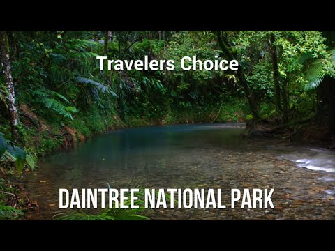 Travelers Choice: Daintree National Park || Places To Travel In Australia