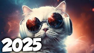 MÚSICA ELETRÔNICA 2025 🔥 AS MÚSICAS ELETRÔNICAS MAIS TOCADAS 🔥 Alok, Vintage Culture & David Guetta