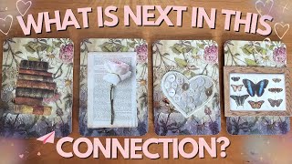 💖✨ What is Next in This Connection? Month Ahead Predictions!🔮✨ | PICK A CARD Timeless Tarot Reading