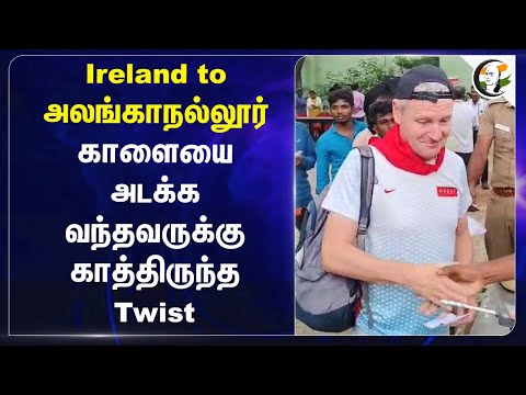 Ireland to அலங்காநல்லூர் | Jallikattu | Tamil Tradition |  Ireland | Tamilnadu | Madurai