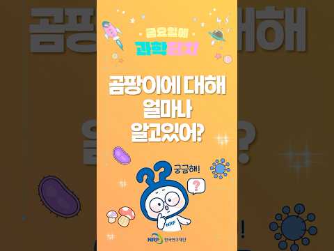 [금요일에 과학터치 : 곰팡이의 세상, 세상속의 곰팡이]