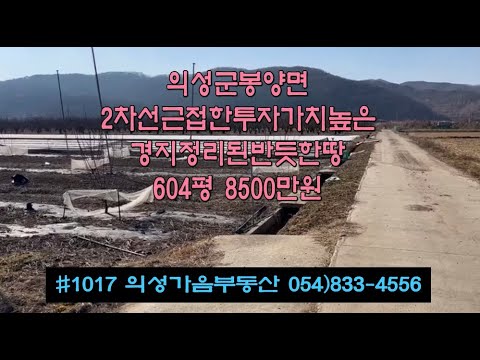 #1017 의성가음부동산 군위군 근접한 경지정리된 모양반듯 자두밭2년생 604평 8500만 (당14만원) 전기가능 2차선도로근처 위치좋고 투자가치0 주말농장적합 #의성땅#의성과수원