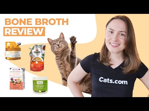 Best Bone Broth for Cats | (We Tried Them All)