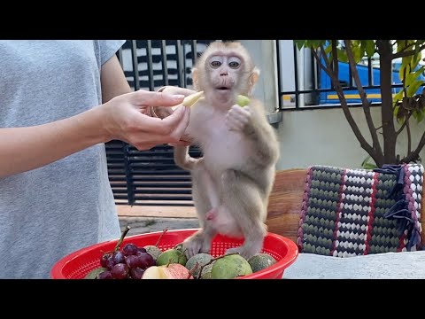 Little Cute Baby Boy Sit Eats Fruits With Mom Very Cute