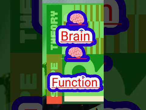 How Our Brain Function ?? 🔥 🔥#neet #ytshorts #ytshort #education #viralvideo