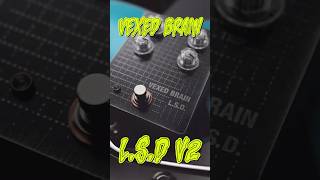 Vexed Brain L.S.D. Octave Fuzz #fuzzpedal #octave #guitar #guitarpedals