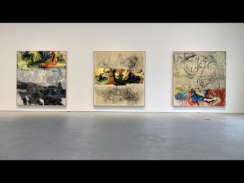 New York City Chelsea Contemporary Art Gallery Exhibitions pt.6, Petzel, Hauser & Wirth, Gagosian