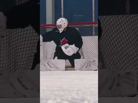 Shoulder Check Warm Up Goalie Drill by @progoaltending # #goaliedrills  #goalietraining