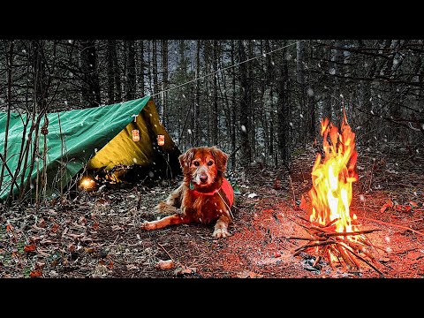 WINTER INSIDE A TARP SHELTER with my Dog!