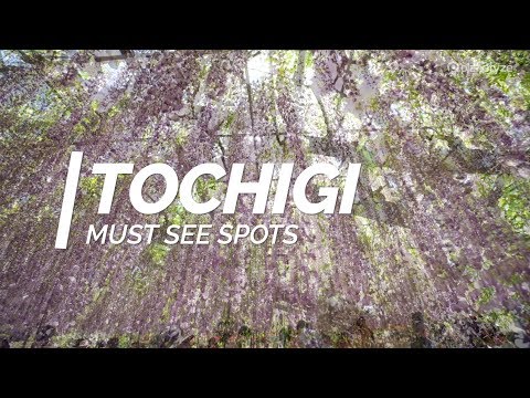 All about Tochigi - Must see spots in Tochigi | Japan Travel Guide