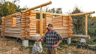 I Spent 1 Year Alone Building My First LOG CABIN With No Experience