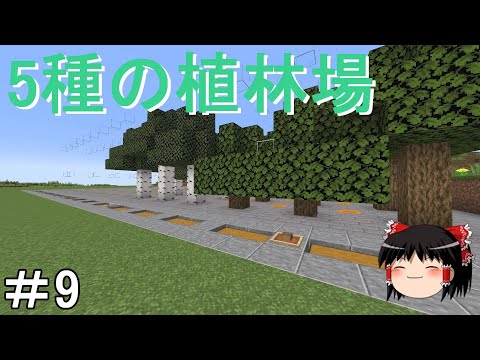 【マイクラ】倉庫建築禁止のサバイバル生活　シンプルな植林場を建築する！Part9［ゆっくり実況］