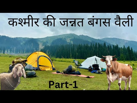 Bungus Valley - The Virgin Valley of Kashmir | कश्मीर की जन्नत बंगस घाटी Part-1 | The Young Monk |