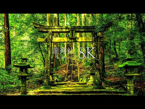 [Unexplored shrine like another world] Visit Taki Shrine - JAPAN in 8K