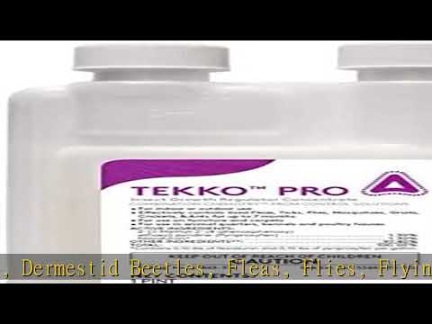 Control Solutions Inc 13842486 Tekko Pro Insect Growth Regulator 16-Oz