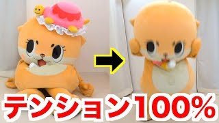 ちぃたんのテンションが０から１００になりますっ☆