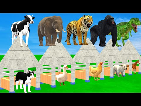 Duck Cartoon vs Paint & Animals, Cat, Chicken, Horse, Pig, Dog Transformed into Wild Animals