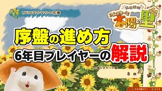 バグとかいろいろあるけれど序盤の進め方はこうやるといい感じです【箱庭開拓ハムスターと太陽の里Nintendo Switch ネタバレ注意】