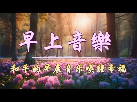 早上最适合听的轻音乐🍀 美妙的音樂 - 純鋼琴輕音樂 🍀 轻松的钢琴音乐 - 放鬆音樂 🍀 輕柔音樂打開我美好的早晨 🍀 Amazing Relax - 放鬆音樂