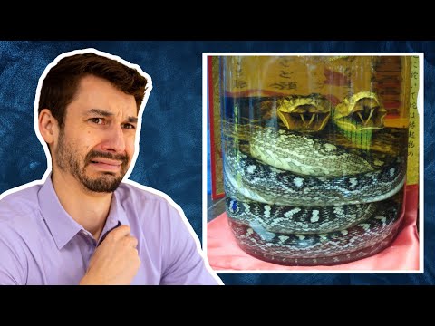 TCM doctor REACTS to snake medicine