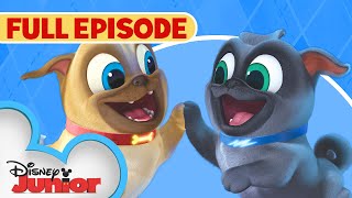 Puppy Dog Pals S1 E1 Full Episode 🐶 | Hawaii Pug-Oh 🏝️ / A.R.F. | @disneyjr