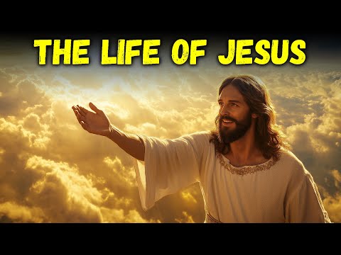 The Life of Jesus: The Gift That Changed Everything - The Bible Stories