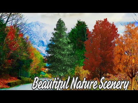 AMAZING NATURE SCENERY  美しい風景