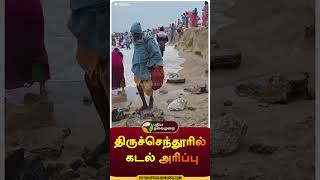 திருச்செந்தூரில் கடல் அரிப்பு | #shorts | #tiruchendur | #seaerosion | #puthiyathalaimuraitv