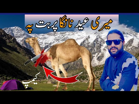 Mery Eid Nanga pabat pay | Eid ul zoha 2024 |Fairy meadows to nanga parbat base camp #gripontravel