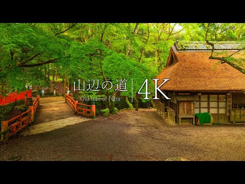 Old trail of Nara - Yamanobe-no-michi from Ensho-ji to NaraPark - iPhone15promax,JAPAN in 4K