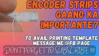 ENCODER STRIPS GAANO KA IMPORTANTE ? | PRINTING BUSINESS GUIDE