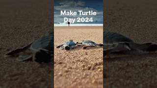 🌊 It’s World Turtle Day 2024! #WorldTurtleDay #SaveTheTurtles