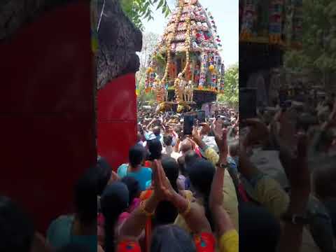 Sri Kapaleeswarar Temple’s annual Panguni uthira brahmotsavam  Mylapore திருத்தேர்  கபாலீஸ்வரர்