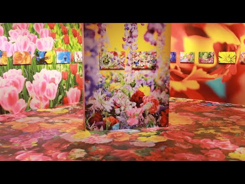 【Mika Ninagawa：Eternal scape】Taichung World Flora Exposition