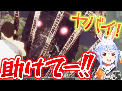 【ホロライブ切り抜き】偽トリコに食べられそうになるぺこら【兎田ぺこら/ホロライブ】