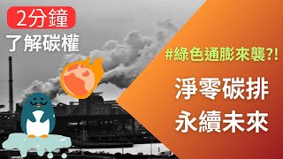 【2024 科普】探索碳有價時代：碳中和、淨零排放、碳費解析！打造淨零碳排，迎接永續未來！#碳排放 #綠色通膨 #淨零碳排 #淨零排放