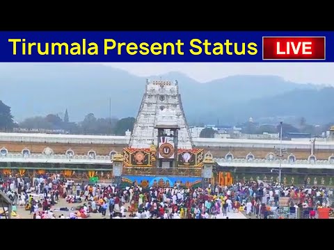 Tirumala Live Status | Tirupati Balaji Darshan Ticket Status | तिरुपति बालाजी दर्शन | DP Trekker