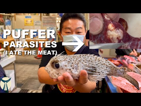 POISON PUFFER FISH WITH PARASITES - Okinawa Street Food