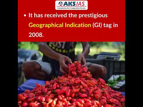 Naga King Chilli #upsc #aksias #iascoaching