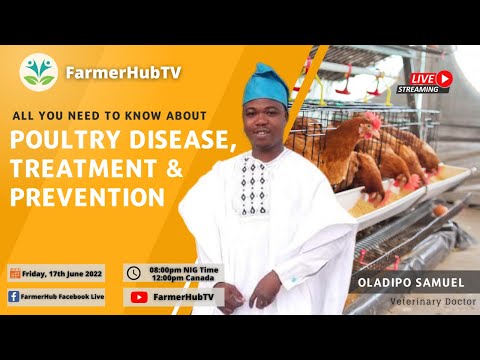 All You Need to Know About Poultry Disease, Treatment & Prevention